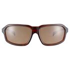 HEXT, Shiny Tortoise-Saturn Polarized Drivers Cat 2 to 3 B8, hi-res image number null